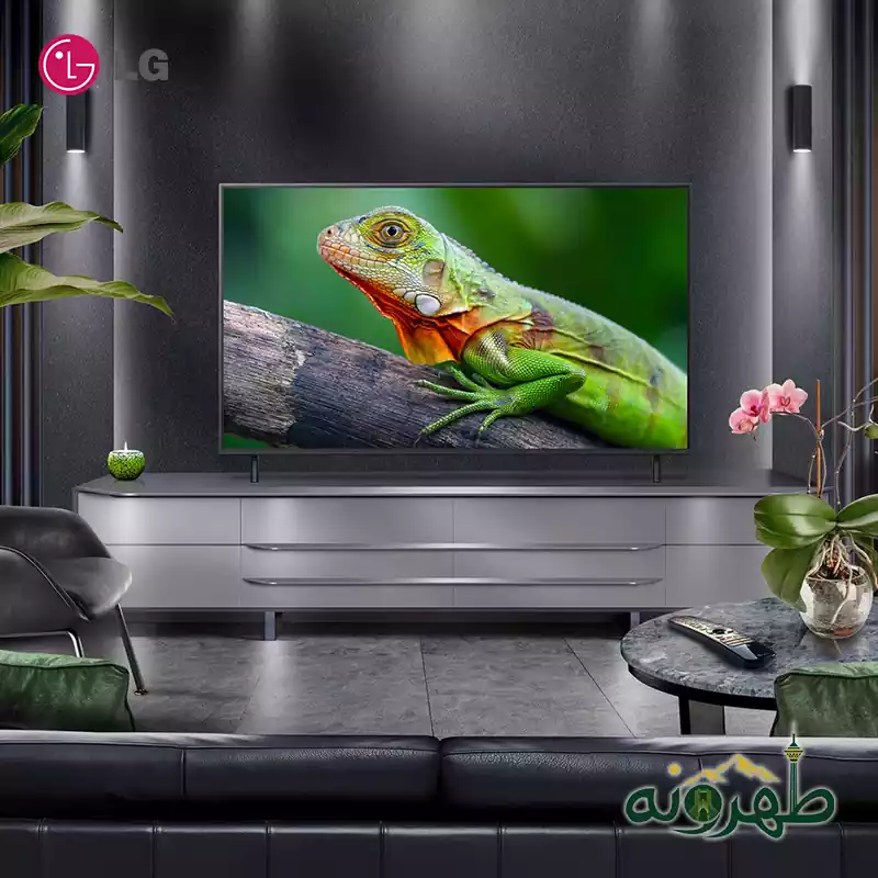 تلویزیون ال جی مدل LG 55QNED80A6A تلویزیون ال جی مدل LG 55QNED80A6A - تصویر 5
