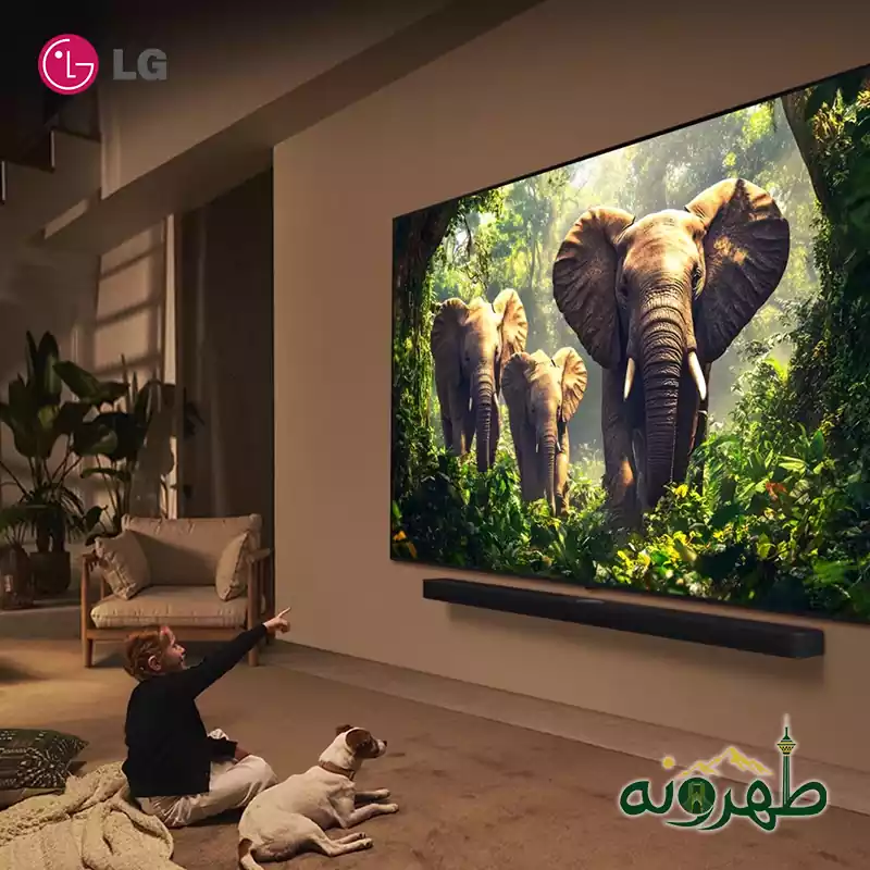 تلویزیون ال جی مدل LG 55QNED86A6A تلویزیون ال جی مدل LG 55QNED86A6A - تصویر 2